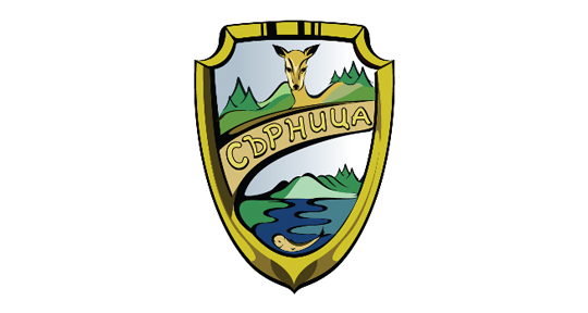 Община Сърница